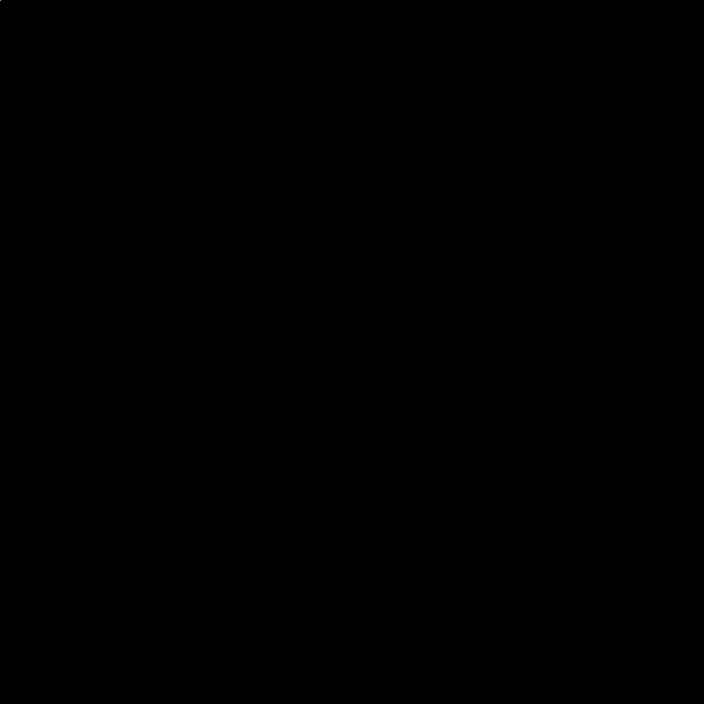 Meet your Posher, Ali